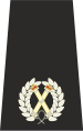 UK Police Assistent Chief Constable Epaulette